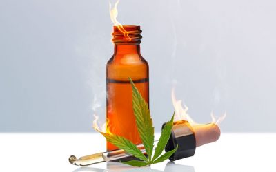 Can You Really Lose Weight with CBD Oil?