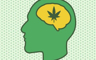 Can CBD help with anxiety?