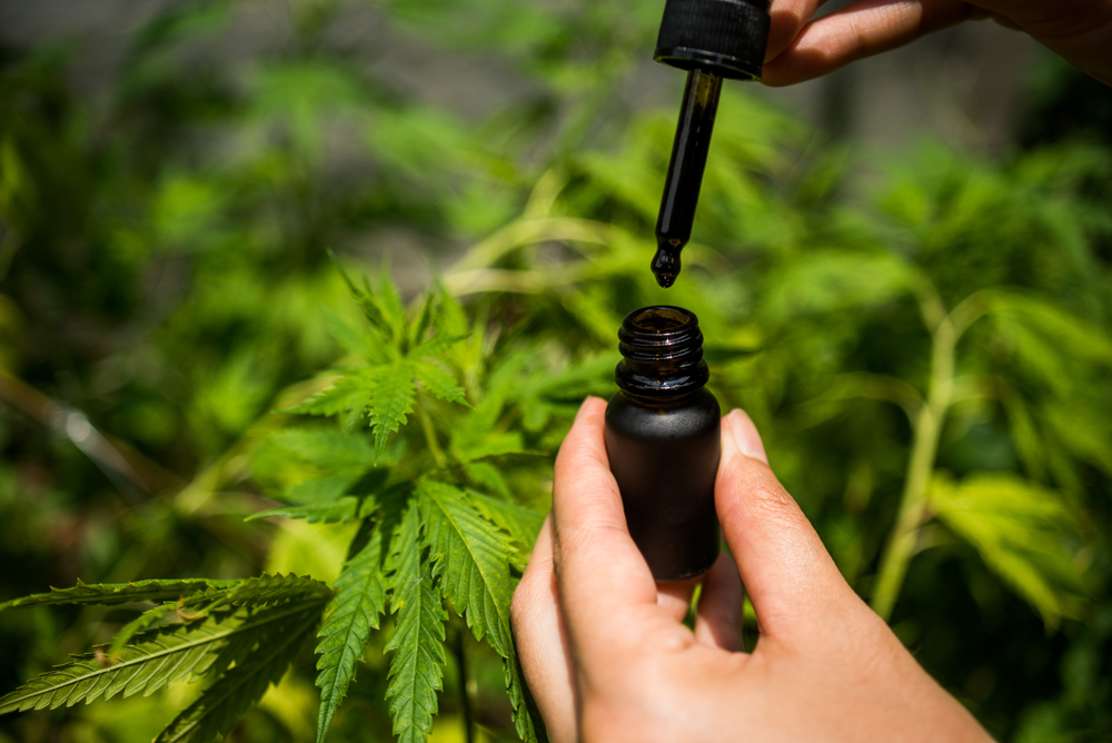 Intrigued by the Cbd Oil Hype? Read This Before You Buy